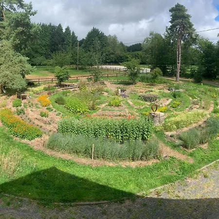 Privee En Bordure De La Foret D'ecouves Bed & Breakfast Le Cercueil