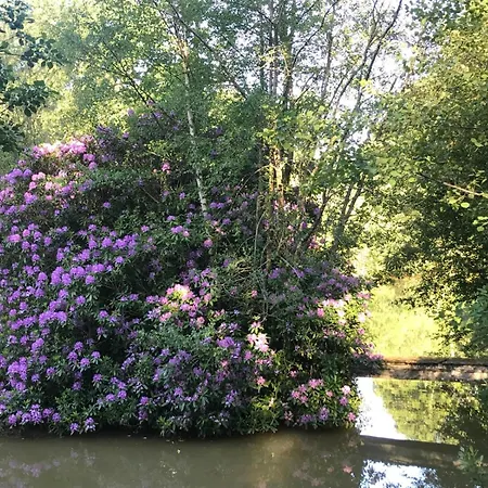 Privee En Bordure De La Foret D'ecouves 3* Le Cercueil